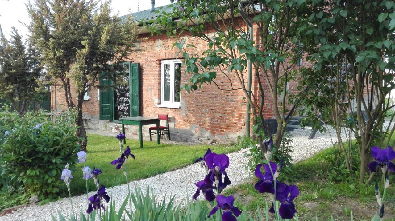 Swieze Poddasze U Przybyszow Andruszkowice Ngoại thất bức ảnh